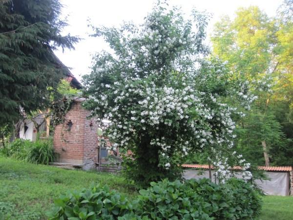 Il Mulino Di Geminella Lägenhet Narzole Exteriör bild